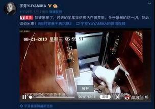 网红家暴事件爆料视频,视频揭露惊人真相，网友热议道德沦丧