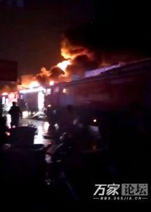 突发实拍视频爆料,揭秘事件真相